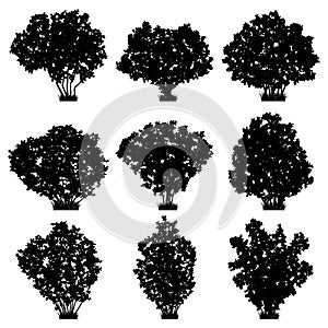 Shrubs vector silhouettes