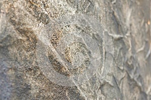 Shubby wall background