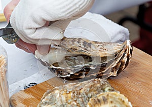 Shucking an oyster