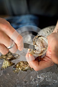 Shucking oysters