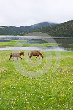 Shudu Lake scenery