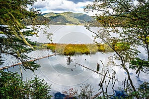 Shudu lake view in middle of tree branches in Potatso national park Yunnan China