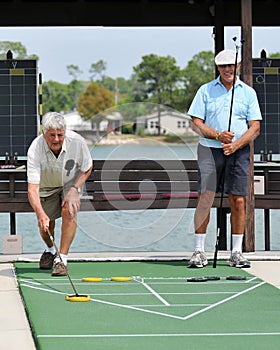 Shuffleboard Competition