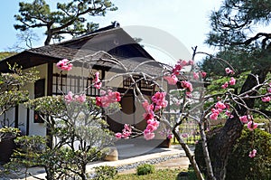 Shukkeien Garden in Central Hiroshima