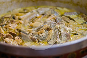 Shukto is a traditional vegetarian Bengali dish which has a slightly bitter taste. It is made of different vegetables and milk