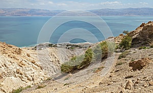 Shulamit Spring Overlooks the Dead Sea in Israel