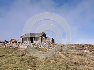 The Shun prince â€™s temple on the  Li mountain has become ruined, and cattle are grazing in front.