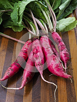 Shunkyo Radishes