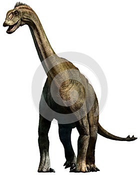 Shunosaurus