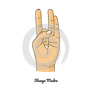 Shunya Mudra / Gesture of Emptiness. Vector photo