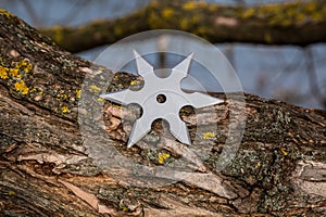 Shuriken throwing star, traditional japanese ninja cold weapon stuck in wooden background