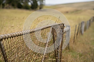 shut farm gate on a livestock farm in australia in summer