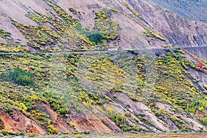 Shutter bus in Denali national park in Alaska