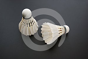 Shuttlecock