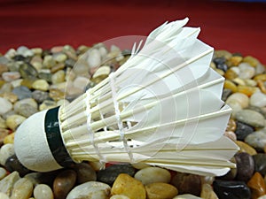 Shuttlecock