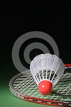 Shuttlecock and Badminton 4