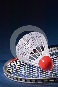 Shuttlecock and Badminton 8