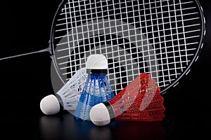 Shuttlecock and badminton racket