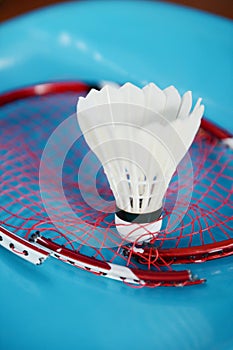 Shuttlecock and broken racket