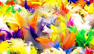 Shuttlecock Feathers