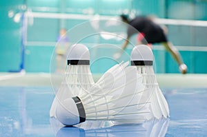 shuttlecock on the floor with badminton player