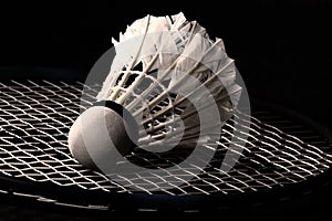 Shuttlecock from goose feathers on badminton racket