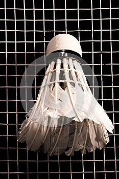 Shuttlecock from goose feathers on badminton racket