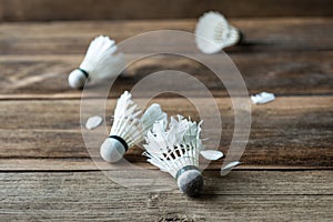 Shuttlecock with parts of its feathers scattered on wooden.