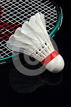 Shuttlecock and racket