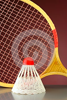Shuttlecock and racket badminton