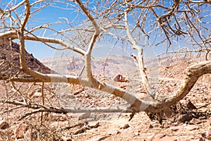 Shvil Israel desert travel trail marking sign.