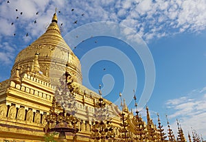 Shwezigon Pagoda(Paya) with flying doves in Bagan