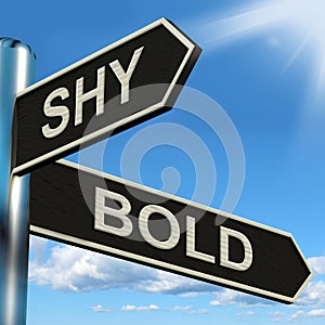 Shy Bold Signpost Means Introvert Or Extrovert