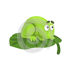 Shy Green Frog Funny Character Sitting On The Leaf Childish Cartoon Illustration