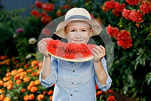 Shy little boy in a he holds a large slice of watermelon and hides his face outdoors. A cute boy in a straw hat is