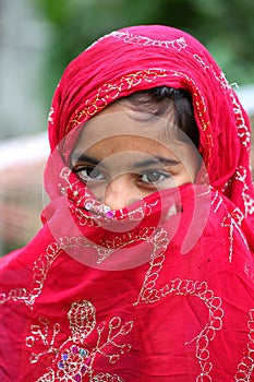 Shy muslim girl photo