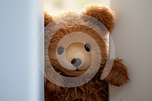 Shy surprise Cute brown teddy bear sneaks behind door, celebrating