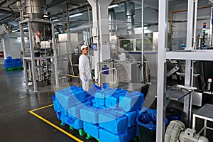 Shymkent, Kazakhstan - 03.12.2020 : Rakhat confectionery factory. Employees are engaged in packaging ingredients