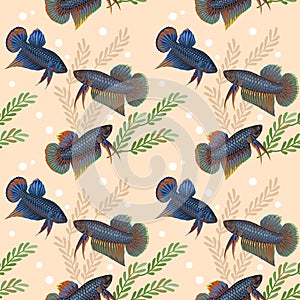 Siam fighting fish seamless pattern.