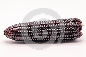 Siam ruby queen corn on isolate white background.It can eat as a fresh,steam,grill,and microwave.Sweet red corn of Thailand.