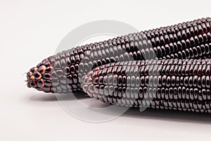 Siam ruby queen corn on isolate white background.It can eat as a fresh,steam,grill,and microwave.Sweet red corn of Thailand.