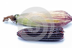 Siam ruby queen corn on isolate white background.It can eat as a fresh,steam,grill,and microwave.Sweet red corn of Thailand.