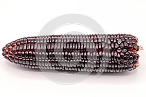 Siam ruby queen corn on isolate white background.It can eat as a fresh,steam,grill,and microwave.Sweet red corn of Thailand.