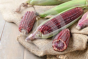 Siam Ruby Queen Corn on wood background,