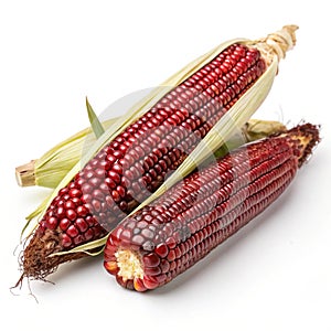 Siam Ruby Queen (Thai Red Corn) Isolated on White Background