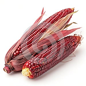 Siam Ruby Queen Thai red corn isolated on white background