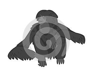 Siamang Monkey as Arboreal, Black-furred Gibbon Vector Illustration
