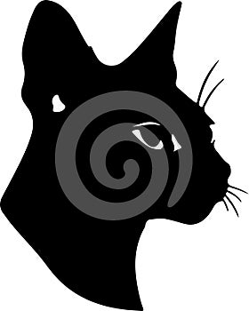 Siamese Cat Black Silhouette Generative Ai