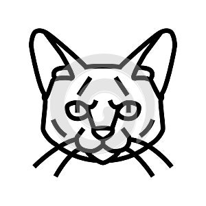 siamese cat cute pet line icon vector illustration