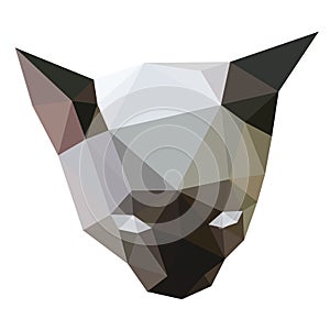 Siamese cat face low polygon vector.